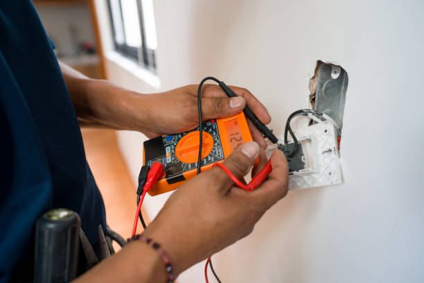 Best Affordable Electrician  in Perry, MI