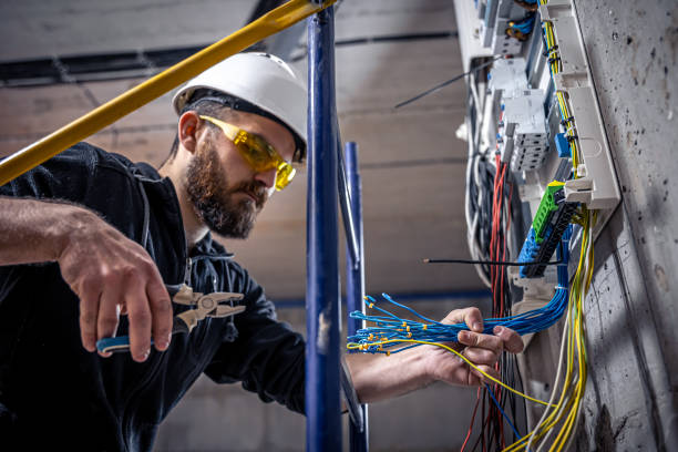 Best Electrical Troubleshooting Services  in Perry, MI