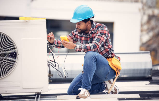 Best Local Electrician Companies  in Perry, MI