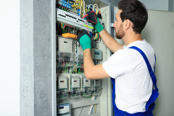 Best Home Electrical Repair  in Perry, MI