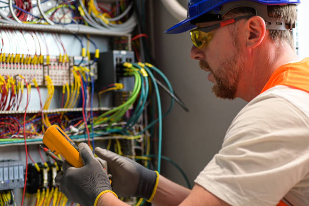Best Residential Electrician Services  in Perry, MI