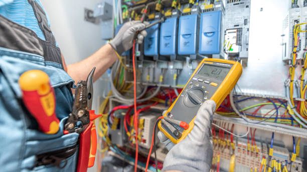 Best Electrical Troubleshooting Services  in Perry, MI