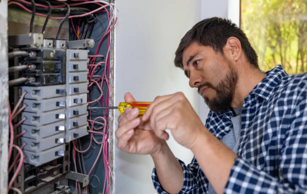 Best Ceiling Fan Installation Electrician  in Perry, MI
